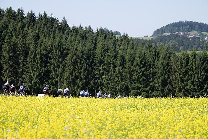 Damen Elite, U23, Cycling League Austria Radliga, Mühlviertler Hügelwelt Classic Elite Damen, Königswiesen, OÖ