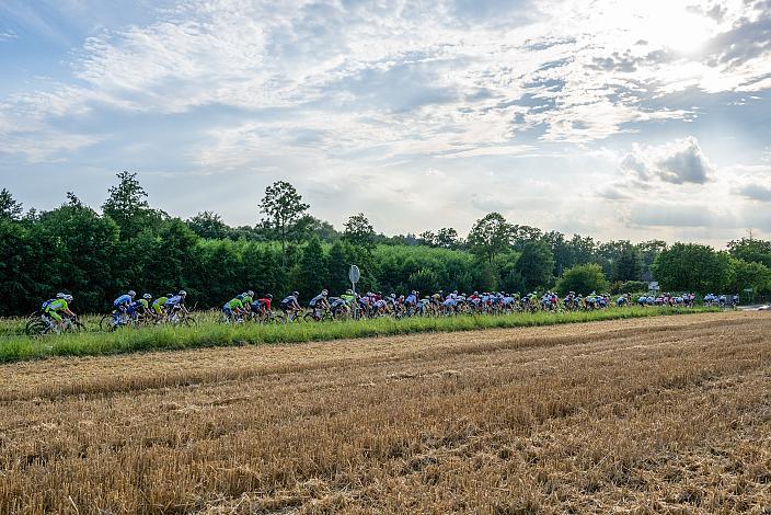 Das Peloton bei Marchtrenk 1. Etappe Marchtrenk  - Marchtrenk, Int. Oberösterreichische Versicherung OÖ Junioren Oberösterreich Rundfahrt