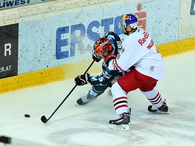 Matthias Iberer, Linz und Alexander Pallestrang, Salzburg, EHC Liwest Black Wings Linz vs EC Red Bull Salzburg, Halbfinale, Semifinale, Play-Offs 