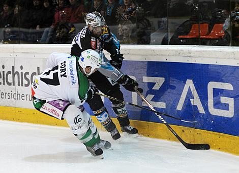 Duell an der Bande, Jeff Tory, Laibach und Jason Ward, Linz; Liwest Black Wings Linz vs. HDD TILIA Olimpija Ljubljana