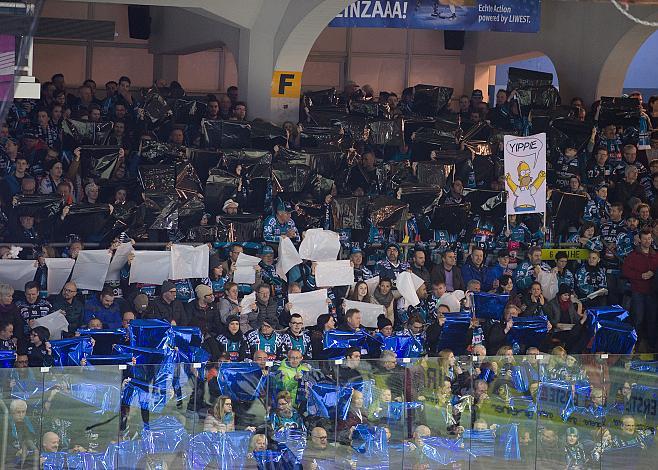 Fans EHC Liwest Black Wings Linz vs EC Red Bull  Salzburg 2. Semifinale