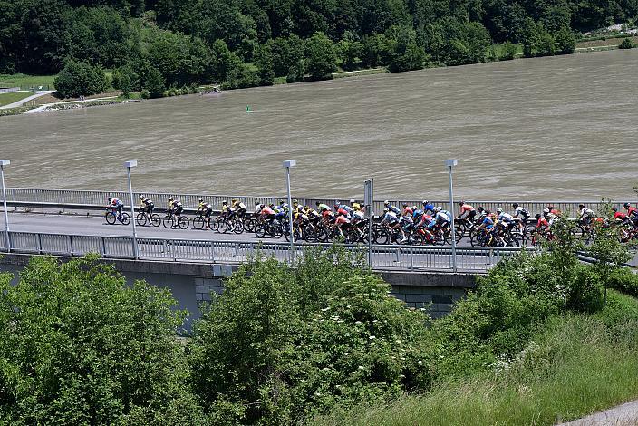 Das Peleton quert die Donau Eferding - Niederkappel,  Int. Raiffeisen Oberösterreich Rundfahrt UCI Kat. 2.2