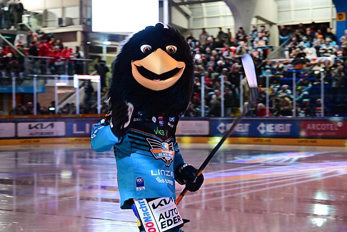 Das Steinbach Blackwings Linz Maskottchen Gonzo 27. Runde ICE, Steinbach Black Wings Linz vs Pioneers Vorarlberg, Linz AG Eisarena 