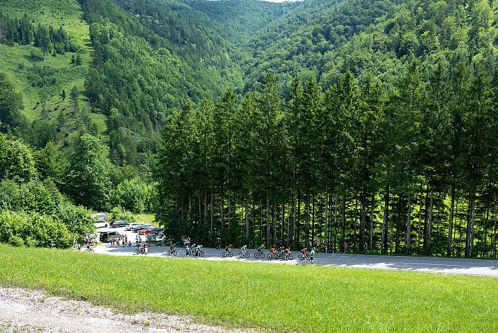 Das Peloton unterwegs in der Region Ybbstal, bei Hollenstein an der Ybbs, Vier Länder Meisterschaft U23,  Austria