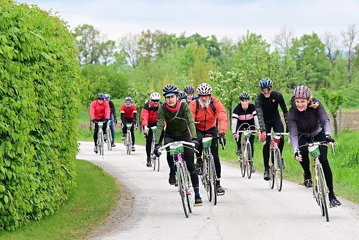 8. Kirschblüten Radklassik, Rad Klassik, Oldtimer, Vintage, Stahlrad, Radsport, Eferding, Oberösterreich