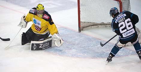 Rob Hisey, Linz scort gegen  Matthew Zaba (UPC Vienna Capitals, #1),  EHC Liwest Black Wings Linz vs UPC Vienna Capitals