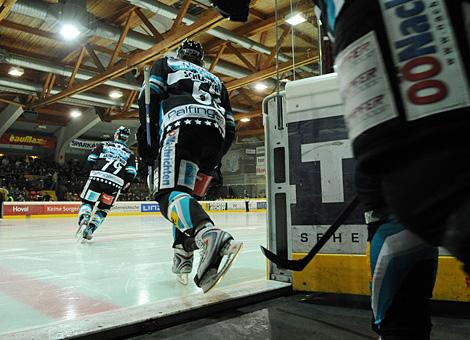 Die Black Wings, hier die #63 Markus Schlacher, gehen zurück auf das Eis.
Die Black Wings, hier die #63 Markus Schlacher, gehen zurück auf das Eis.
Die Black Wings, hier die #63 Markus Schlacher, gehen zurÃ¼ck auf das Eis.