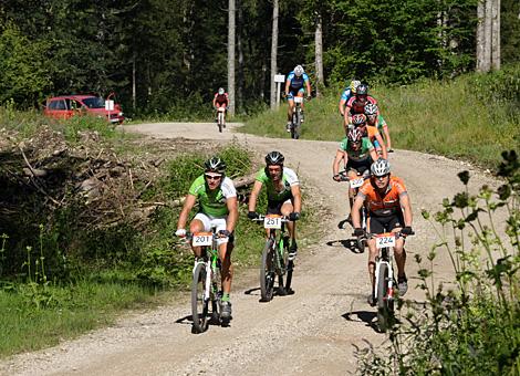 Die Spitzengruppe der Mediumdistanz am Weg Richtung Brunnbach.