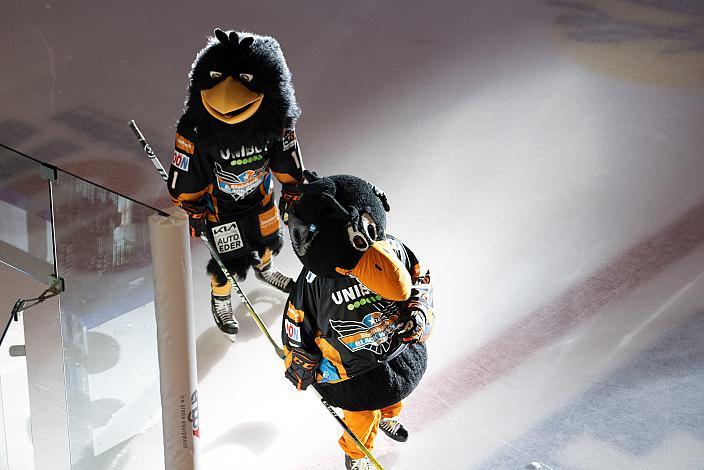 Das Steinbach Blackwings Linz Maskottchen Gonzo und Gonzo Jr Steinbach Black Wings Linz vs HC Tiwag Innsbruck - Die Haie, bet-at-home ICE Hockey League