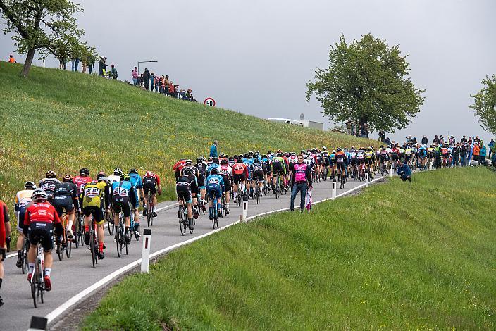 Das Peleton im Anstieg zur Bergwertung  Herren Elite, U23, Radliga, GP Vorarlberg, Nenzing