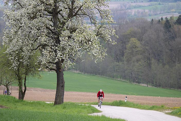 7. Kirschblüten Radklassik, Rad Klassik, Oldtimer, Vintage, Stahlrad, Radsport, Eferding, Oberösterreich