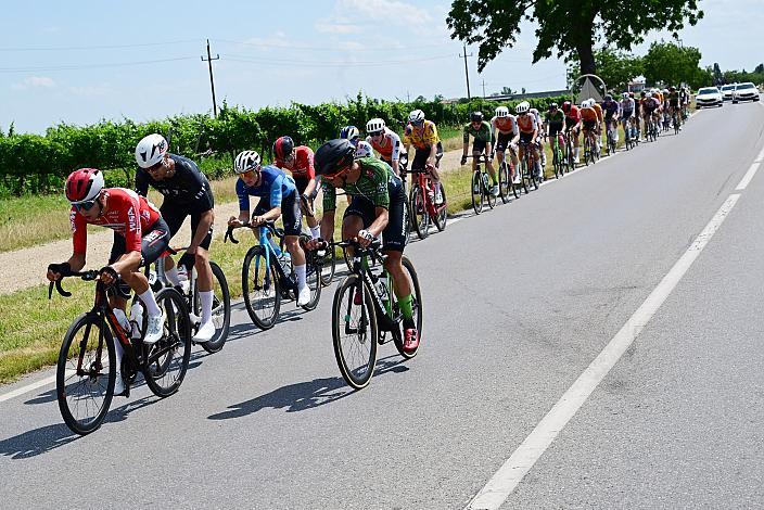 Das Peloton im Seewinkel, Burgenland  ÖM Staatsmeisterschaft, Strassenrennen,, Illmitz, Burgenland