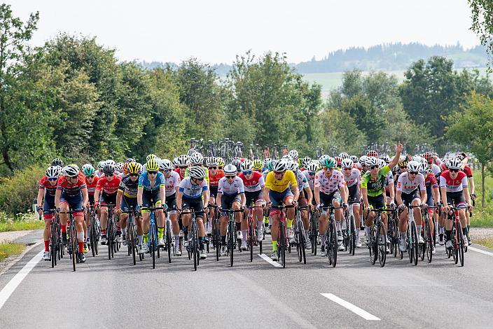 Das Feld bei Arnreit 46. Int. Keine Sorgen,  Junioren Rundfahrt UCI Kat. MJ 2.1, 2. Etappe Rohrbach - Rohrbach