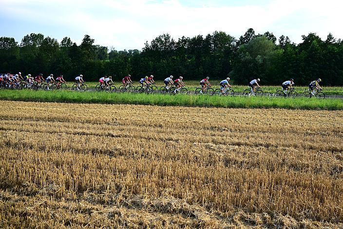 Das Peloton bei Marchtrenk 1. Etappe Marchtrenk  - Marchtrenk, Int. Oberösterreichische Versicherung OÖ Junioren Oberösterreich Rundfahrt