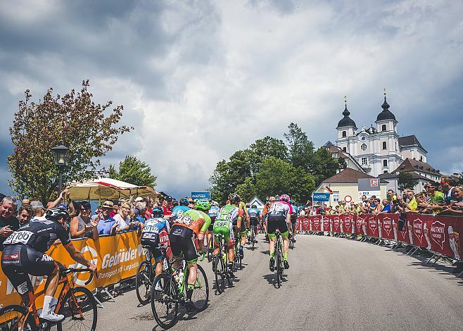 Das Feld klettert den Sonntagberg, 7. Etappe Waidhofen/Ybbs - Sonntagberg 70. Ã–sterreich Rundfahrt 