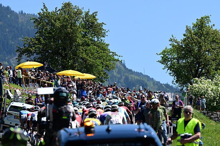 Das Peloton, Herren Elite, U23, Road Cycling League Austria, 15. GP Vorarlberg
