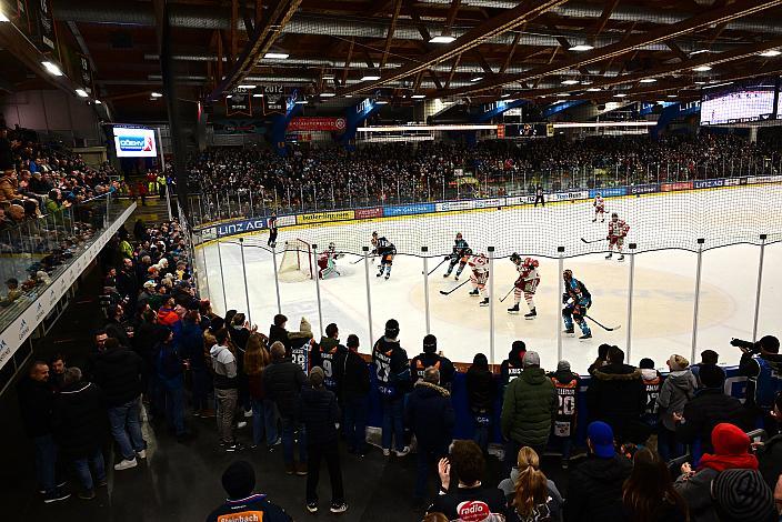  Win2Day ICE Hockey League,  Steinbach Black Wings Linz vs  HCB Südtirol Alperia,  Linz AG Eisarena 