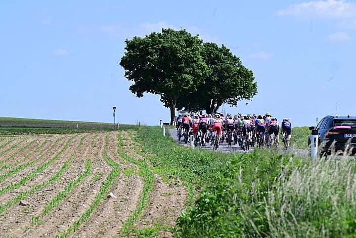 2. Etappe Peloton, Sportland NÖ women tour