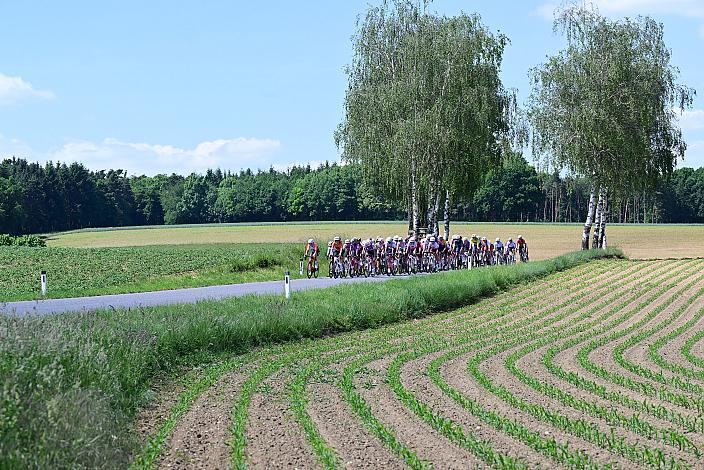 Peloton  Sportland NÖ women tour