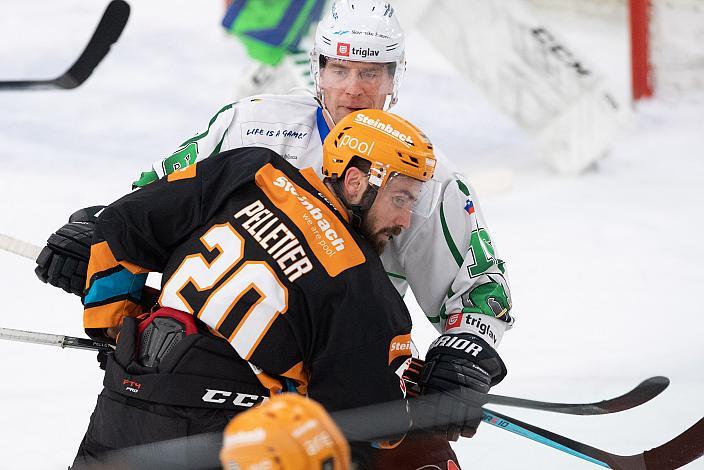 Will Pelletier (Steinbach Black Wings Linz), Ales Music (HK SZ Olimpija) Steinbach Black Wings Linz vs HK SZ OLIMPIJA, bet-at-home ICE Hockey League