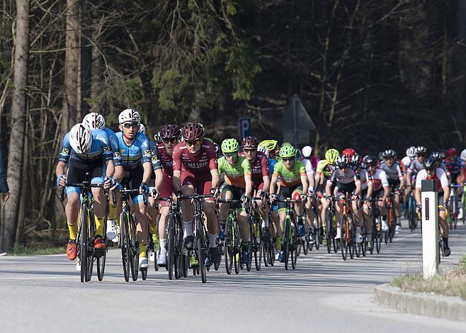 Das Feld mit Daniel Auer (AUT, Maloja Pushbikers)  59. Rad SaisonerÃ¶ffnungsrennen Leonding, Rad Bundesliga 2019