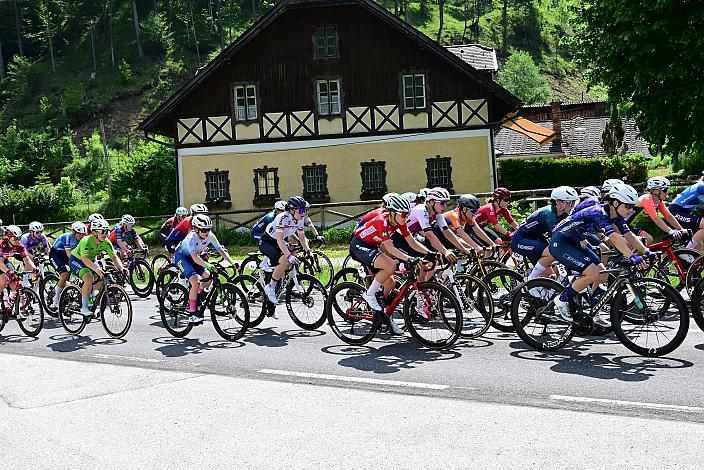Das Peloton unterwegs im Ybbstal zum Hochkar, Leila Gschwendtner (AUT, Smurfit Westrock Cycling Team), Ybbsitz - Hochkar, Sportland NÖ women tour