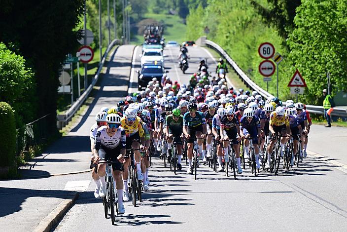 Das Peloton, Herren Elite, U23, Road Cycling League Austria, 15. GP Vorarlberg