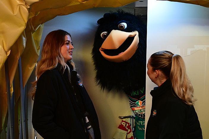 Das Steinbach Blackwings Linz Maskottchen Gonzo 27. Runde ICE, Steinbach Black Wings Linz vs Pioneers Vorarlberg, Linz AG Eisarena
