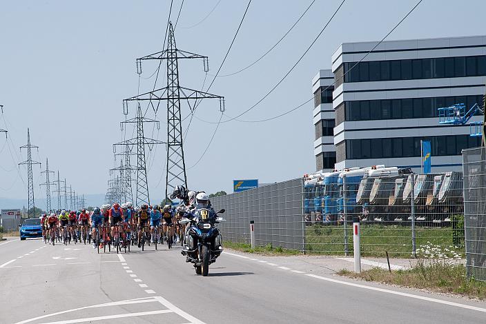 Das Peleton in Wels 2. Etappe Wels - Bad Leonfelden, Int. Raiffeisen Oberösterreich Rundfahrt UCI Kat. 2.2