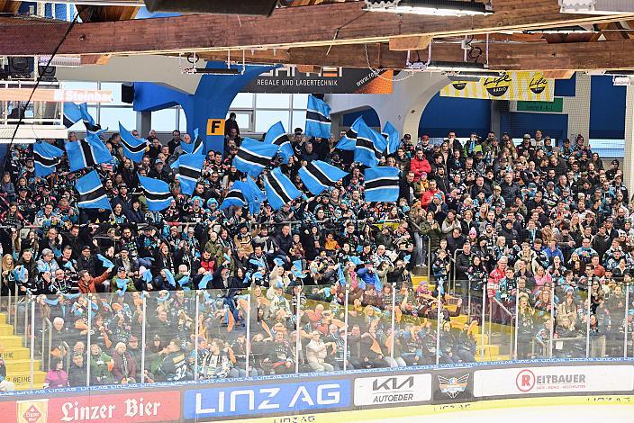 Fans der Steinblach Black Wings Win2Day ICE Hockey League,  1. Viertelfinale, Steinbach Black Wings Linz vs Moser Medical Graz 99ers,  Linz AG Eisarena 