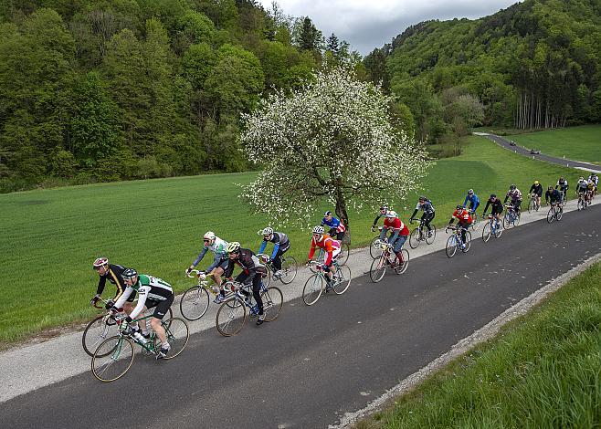 das Fahrerfeld der Klassik Ausfaht KirschblÃ¼ten Radklassik im Aschachtal
