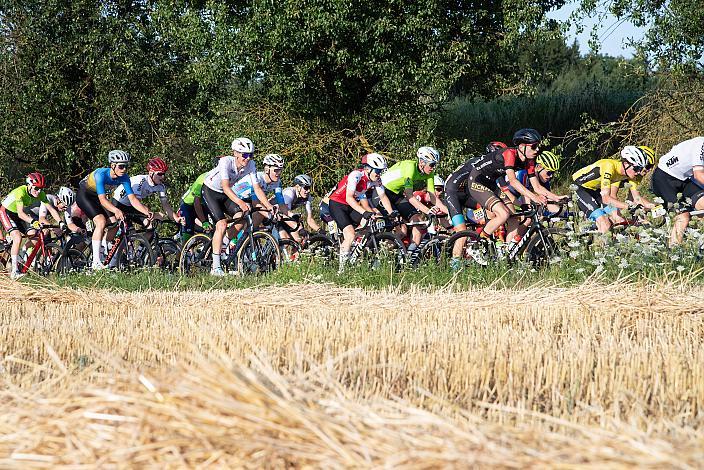 Das Peleton am Mistelbacher Berg, 1. B Etappe Traun - Marchtrenk, Int. OÖ Junioren Oberösterreich Rundfahrt 