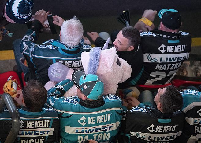 Im Bild:  BWL Fans bereit fÃ¼r de Teddy Bear Toos, Eishockey,  EHC Liwest Black Wings Linz vs HC TWK Innsbruck