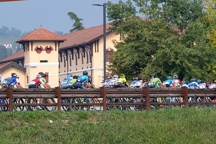 das Peleton bei Colegniano, Veneto Classic, Treviso - Bassano del Grappa, Veneto, ITA 190km