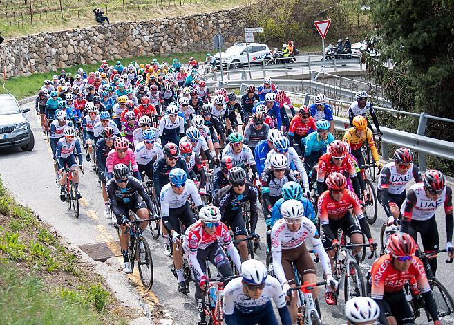 Das Peleton klettert nach Natz bei Brixen, Südtirol 44th Tour of the Alps, 1. Etappe Brixen - Innsbruck 140,6km, UCI Pro Series