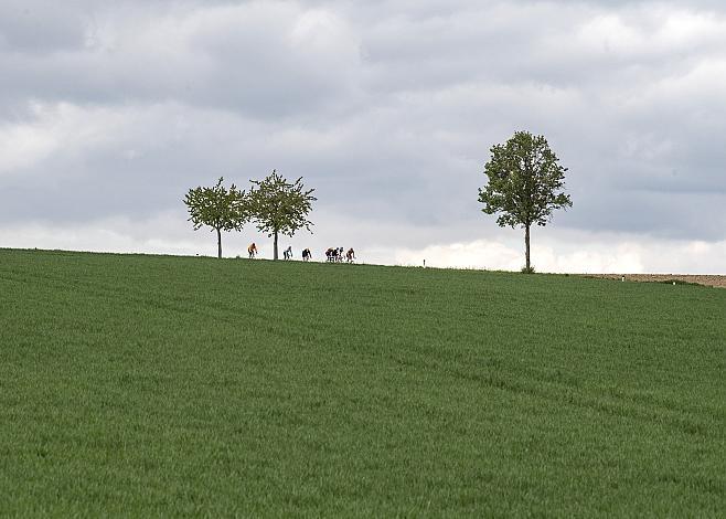 Das Feld der Fahrer bei St. Marienkirchen