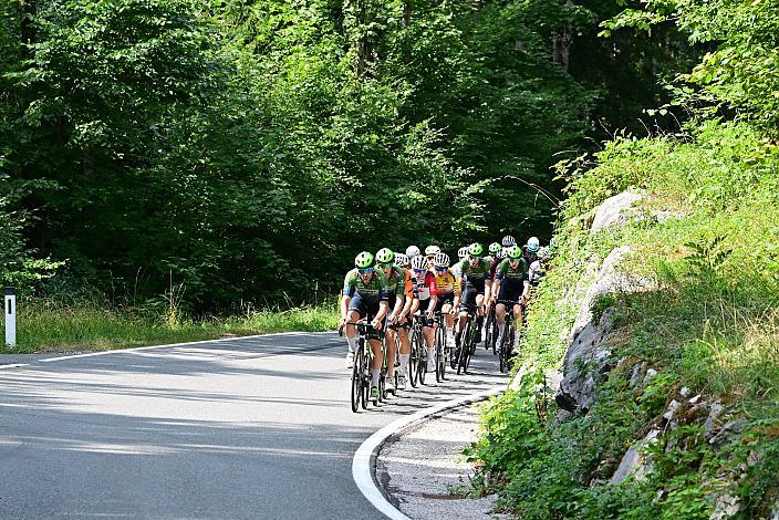 David Paumann (AUT, Hrinkow Advarics) Herren Elite, U23, Road Cycling League Austria, Gaisbergrennen Salzburg