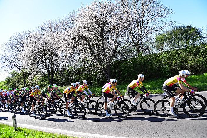 Herren Elite, U23, Road Cycling League Austria, 64. Raika Kirschbluetenrennen, Wels, Oberösterreich