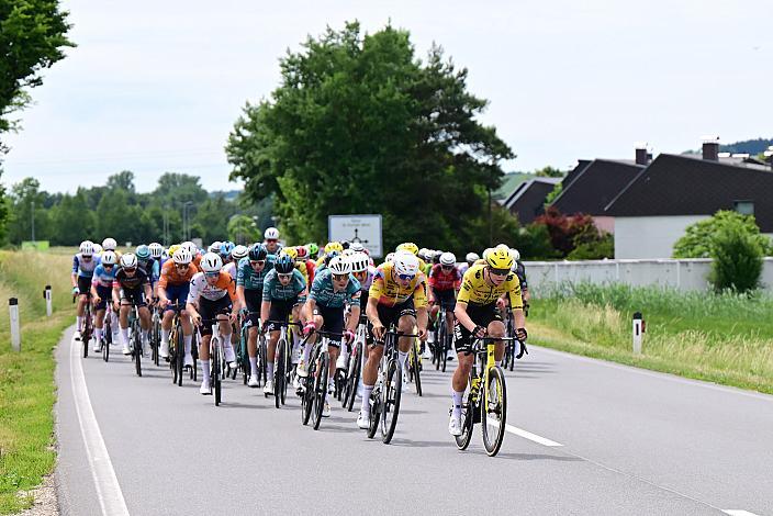 Das Peloton unterwegs im Traunviertel  3. Etappe Asten - Bad Schallerbach, Oberösterreich Rundfahrt