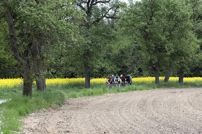 eine Gruppe der KirschblÃ¼ten Radklassik bei Oftering