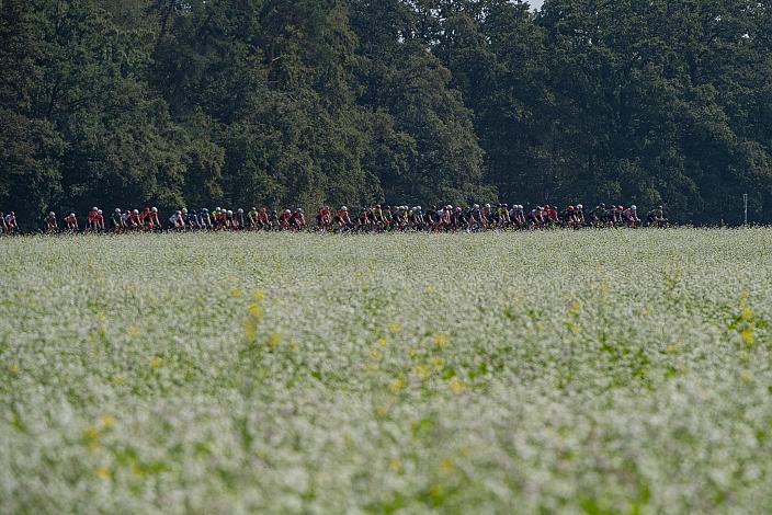 Road Cycling League Ranshofen, OÖ