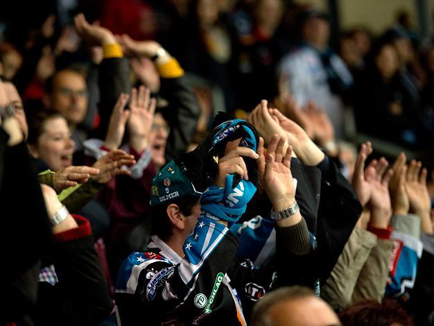 Fans in der Linzer Eishalle, EHC Liwest Black Wings Linz vs SAPA Fehervar AV19