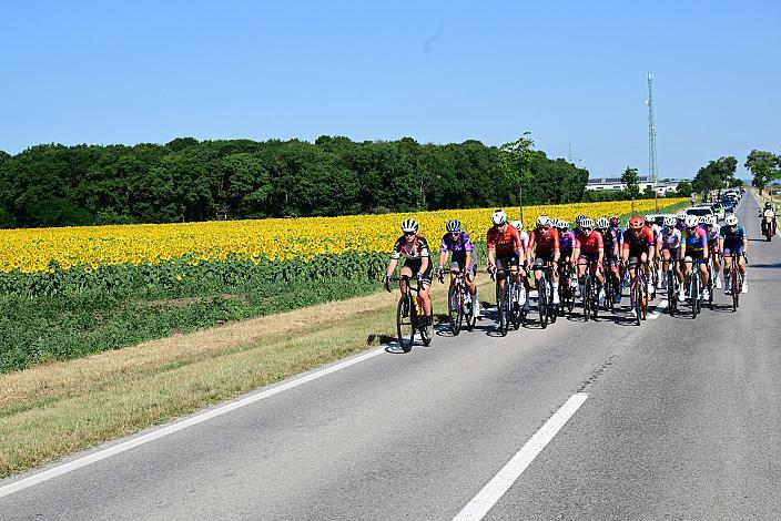 ÖM Staatsmeisterschaft, Strassenrennen,, Illmitz, Burgenland