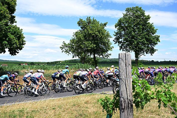 5. Etappe von Langenlois nach Wien, 109km, Tour of Austria