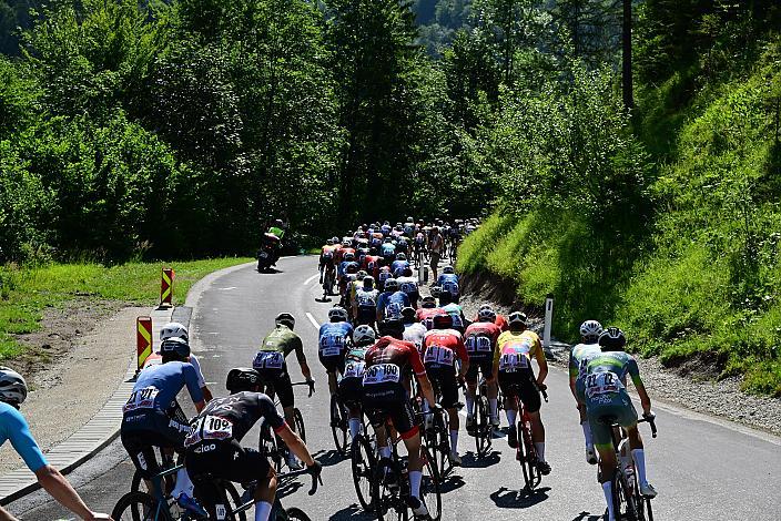 Das Peloton unterwegs in der Region Ybbstal, bei Hollenstein an der Ybbs, Vier Länder Meisterschaft U23,  Austria