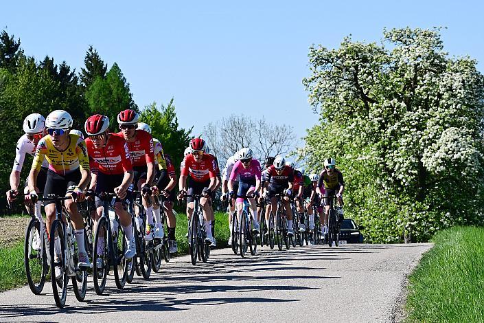 Herren Elite, U23, Road Cycling League Austria, 64. Raika Kirschbluetenrennen, Wels, Oberösterreich