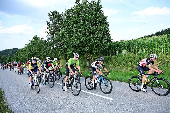 Das Peloton am Mistelbacher Berg, 1. Etappe Marchtrenk  - Marchtrenk, Int. Oberösterreichische Versicherung OÖ Junioren Oberösterreich Rundfahrt