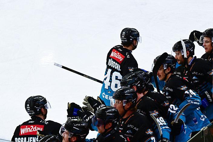 Die Steinbach Black Wings Linz feiern das Tor zum 2 zu 1 durch Niklas Würschl (Steinbach Black Wings), 23. Runde ICE, Steinbach Black Wings Linz vs HCB Suedtirol Alperia, Linz AG Eisarena 