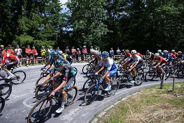 Das Peleton auf der Kripp ÖM Staatsmeisterschaft, Strasse, Waidhofen an der Ybbs - Hollenstein