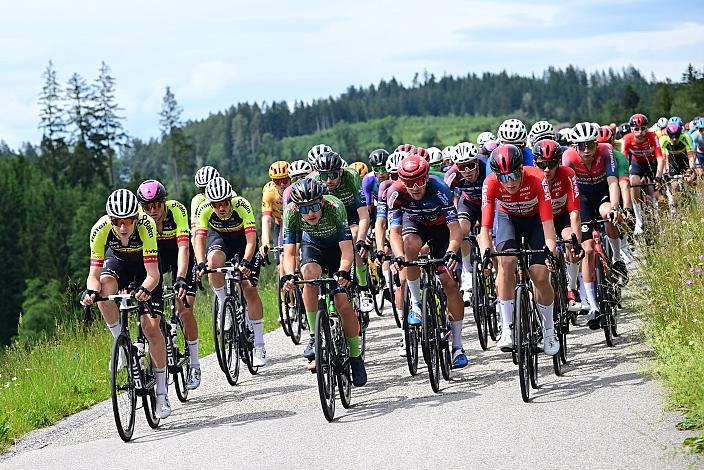 Das Peloton auf der 2. Etappe unterwegs von , Wels nach Aigen - Schlägl, 14. Int. Raiffeisen OÖ-Radrundfahrt UCI Kat. 2.2